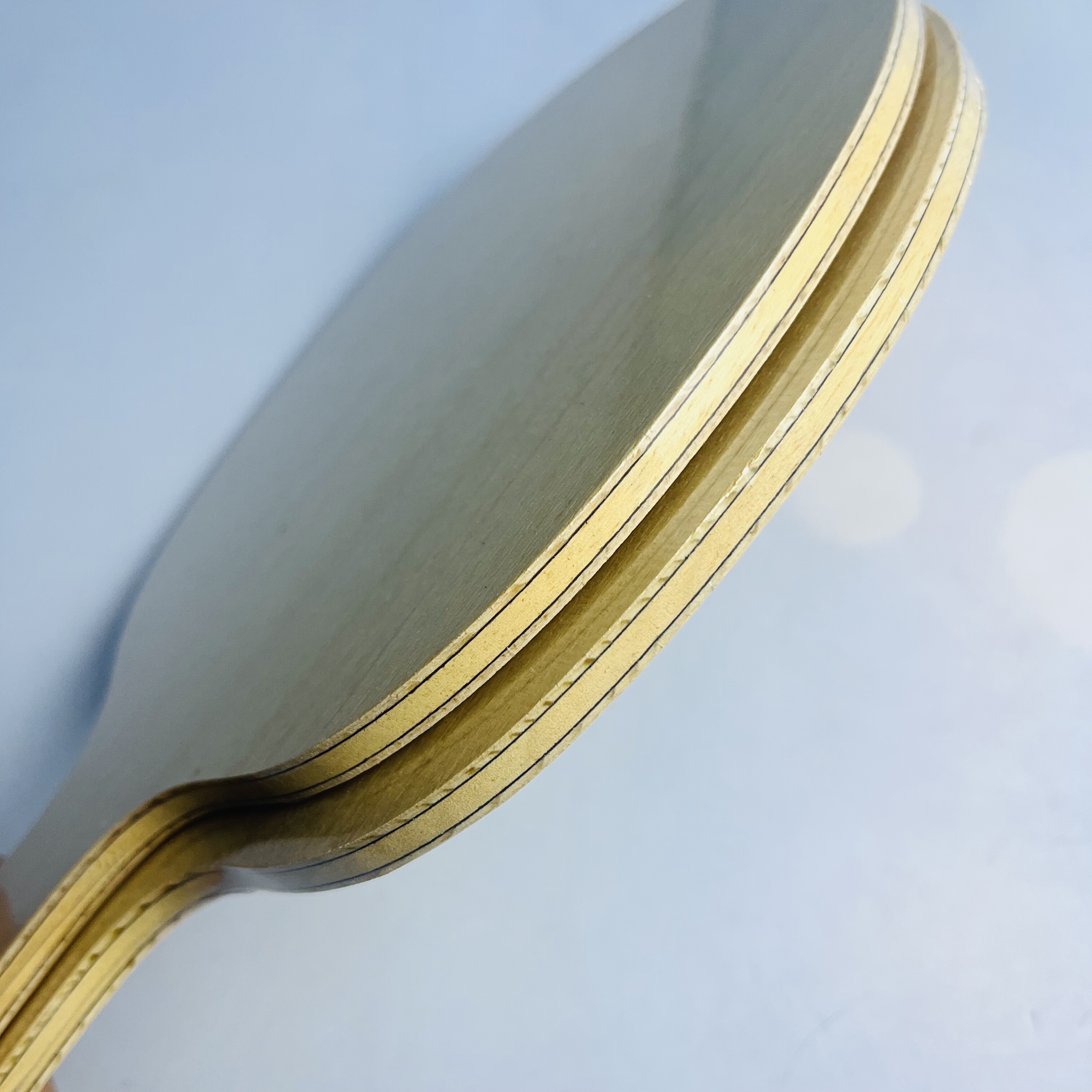 Table Tennis Blade with Limoni - Table Tennis Zhang Jike บทวิจารณ์และราคา